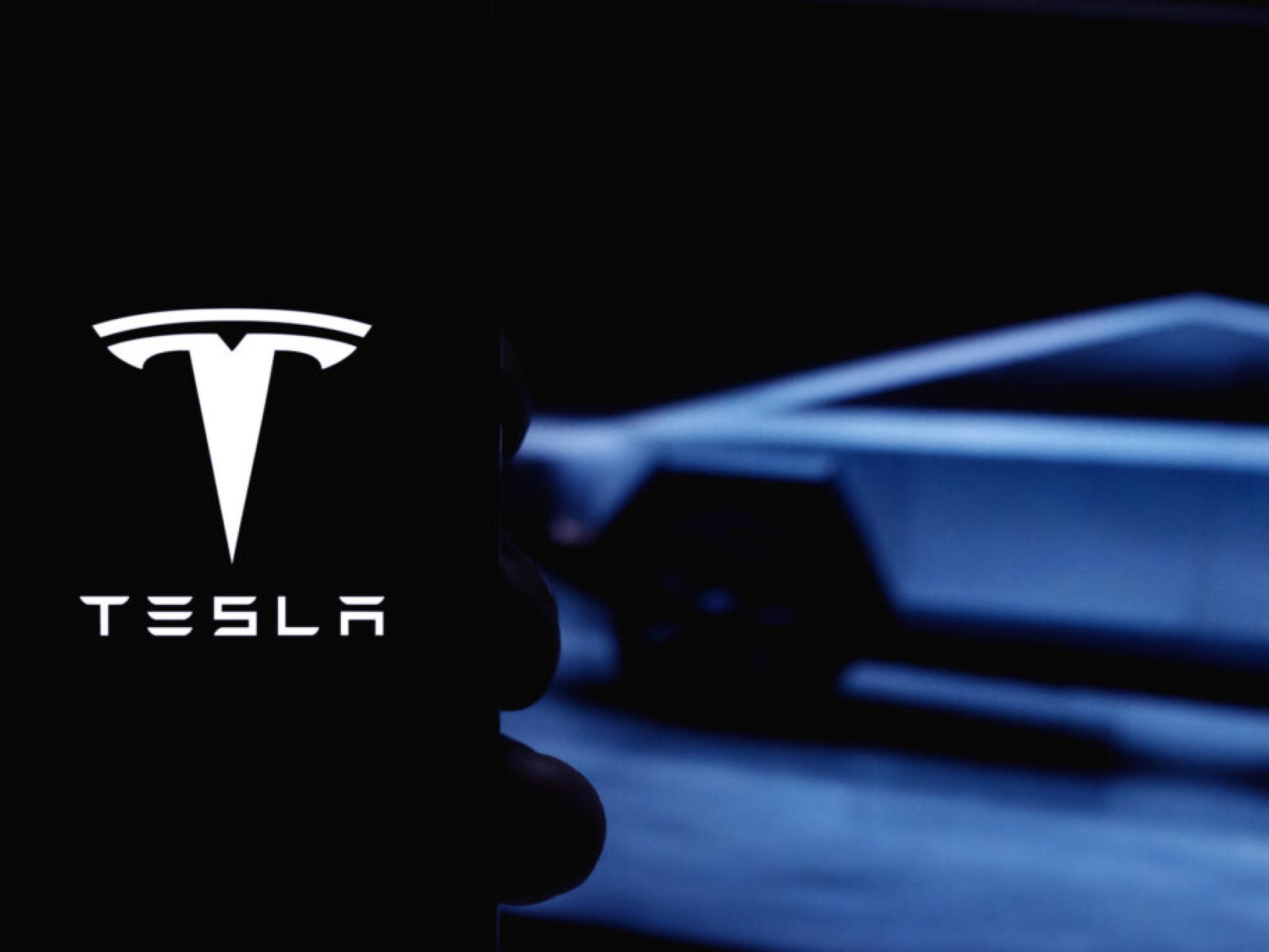  cathie-wood-joins-elon-musk-and-brian-roemmele-in-hyping-teslas-ai5-chip-it-will-be-a-big-deal 