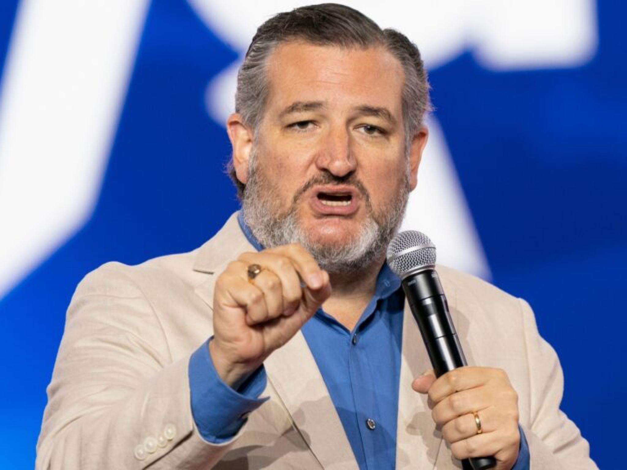  ted-cruz-says-democrats-flirting-with-disaster--warns-of-flight-delays-for-millions-as-shutdown-enters-day-36-50000-tsa-agents 