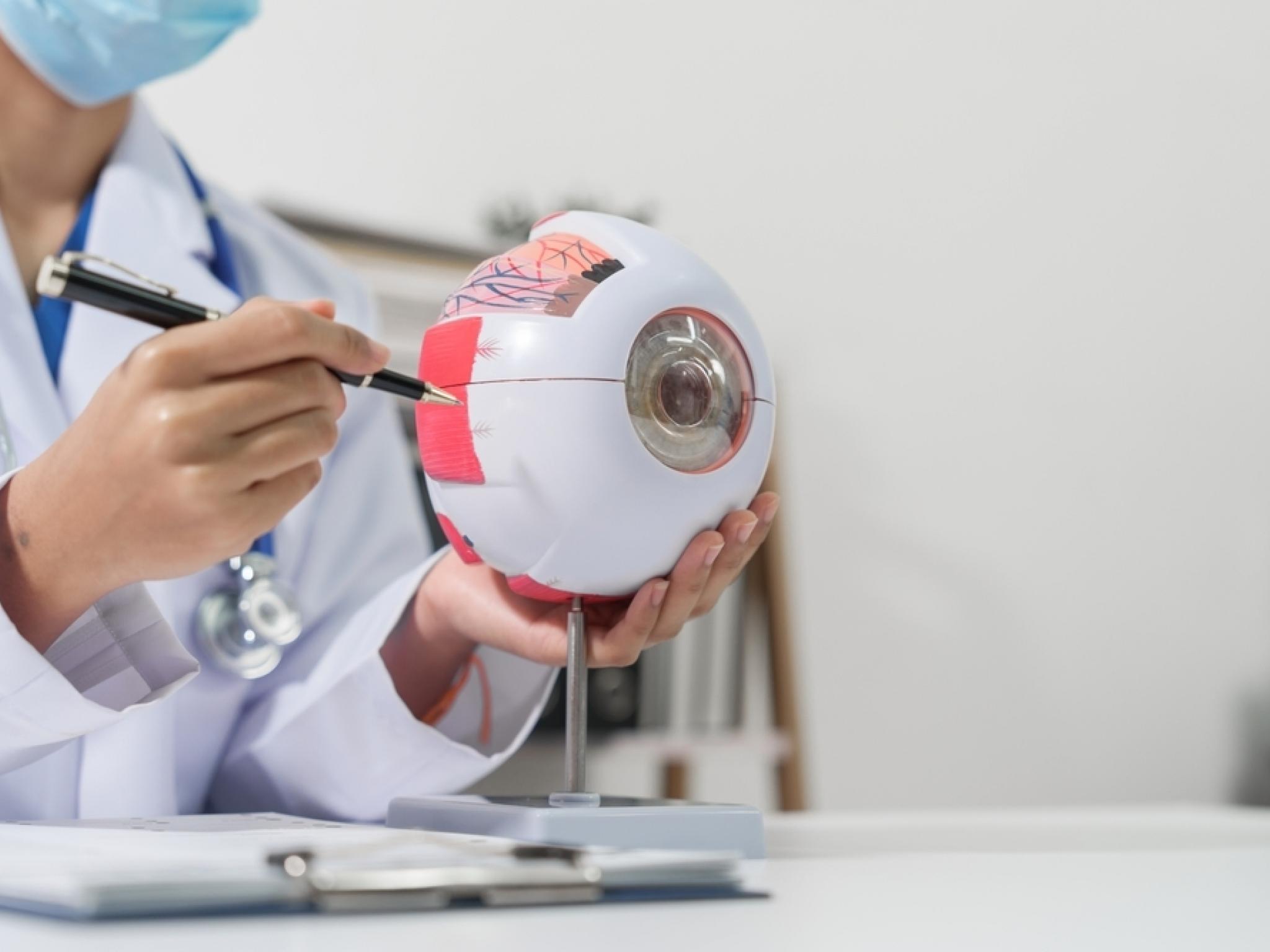  eli-lilly-expands-genetic-eye-disease-focused-pipeline-with-meiragtx-gene-therapy-collaboration 