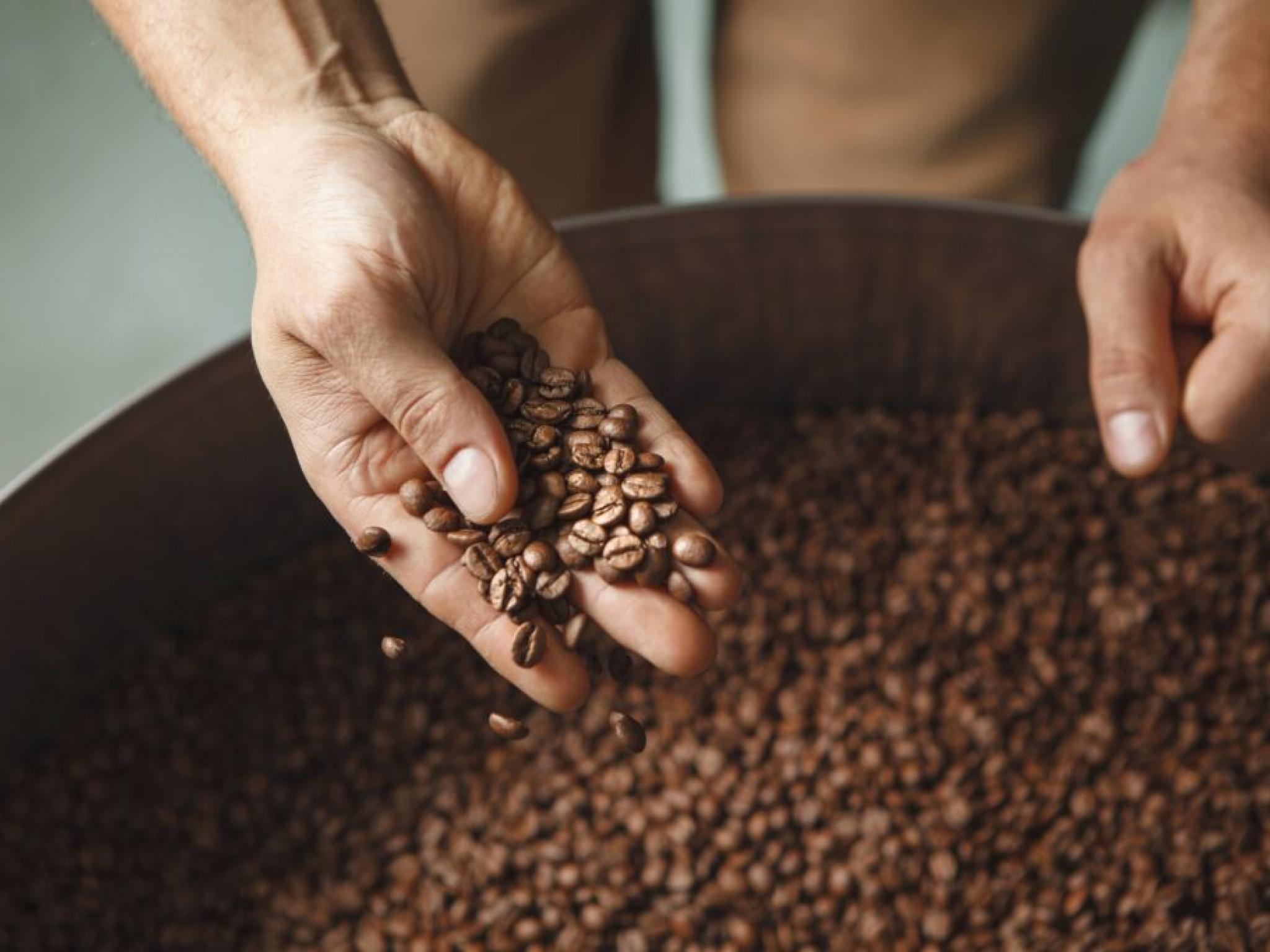  us-inks-new-south-american-trade-deals-in-a-bid-to-lower-coffee-banana-and-beef-prices 