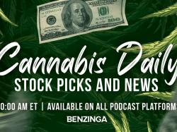  thc-lined-drinking-straws-all-you-need-to-know-about-the-new-cannabis-etf-psdn-jushf--cannabis-daily-november-17-2021 