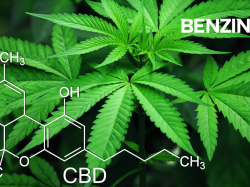  xs-financial-provides-1m-equipment-lease-facility-to-multi-state-cannabis-operator 