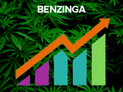  hempfusion-reports-unaudited-q4-66-revenue-growth-yoy-and-mcto 