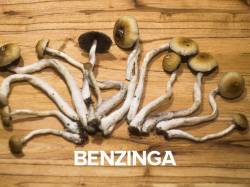  benzinga-expands-footprint-into-the-psychedelic-industry-with-the-launch-of-the-benzinga-psychedelic-advisory-council 