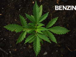  agra-ventures-to-acquire-cannabis-focused-tech-platform-twenty-one-reports-strong-revenue 