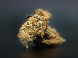  sundial-still-committed-to-deal-with-liquor-retailer-alcanna-despite-cannabis-market-volatility 