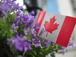  5-canadian-stocks-to-consider-for-canada-day 