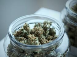  michigan-cannabis-operator-gage-growth-adds-ann-arbor-retail-location-to-its-portfolio 