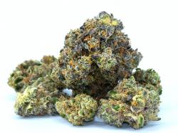  verano-reaches-connecticut-cannabis-market-via-11325m-purchase-of-tuatara-owned-business 
