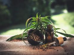  cannabis-countdown-top-10-marijuana-and-psychedelics-industry-news-stories-of-the-week 