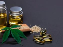  study-suggests-whole-plant-medicinal-cannabis-could-be-more-effective-than-cbd-in-epilepsy-treatment 