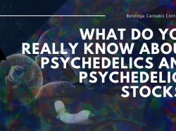 what-do-you-really-know-about-psychedelics-and-psychedelics-stocks 