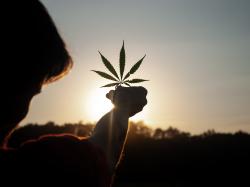  cannabis-movers--shakers-bioharvest-sciences-green-hygienics-realm-of-caring-media-central-corp-al-harringtons-viola 