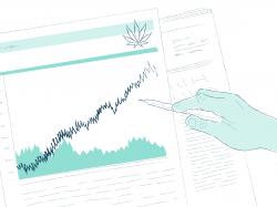  looking-at-the-main-cannabis-stocks-movers-for-friday-sept-10 