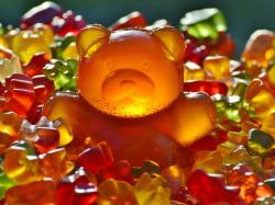  charlottes-web-offers-new-gummy-line-in-738-vitamin-shoppe-stores 