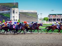 2019-kentucky-derby-preview-why-maximum-security-is-more-the-just-a-name