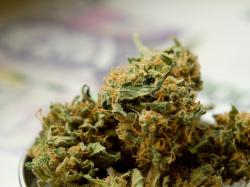  the-week-ahead-in-cannabis-delta-9-uplisting-mjbizcon-intl--more 