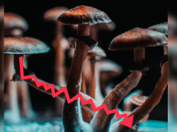  are-psychedelics-stocks-in-trouble-or-is-the-market-reaching-maturity 