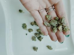  first-cookies-cannabis-dispensary-in-canada-to-launch-with-michigans-gage-growth 