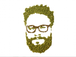  seth-rogen-and-evan-goldbergs-weed-brand-beautifully-committed-to-social-justice 