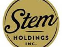  stem-holdings-appoints-two-new-members-to-its-board-of-directors 