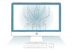  cannabis-industrys-top-tech-talent-answers-key-questions-legalization-challenges--consolidation 