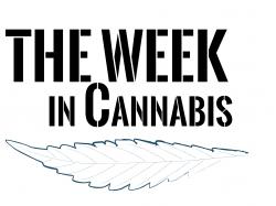  the-week-in-cannabis-stock-volatility-nj-19b-ipo-policy-moves-financings-and-more 