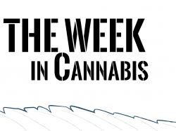  the-week-in-cannabis-virginia-legalizes-houseplant-hits-the-us-big-retail-makes-moves 