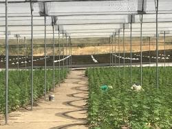 helix-tcs-launches-hemp-tracking-system-in-delaware 