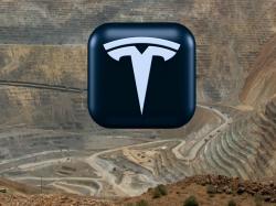  will-tesla-pull-an-amc-and-invest-in-mining-companies-heres-what-elon-musk-suggested 