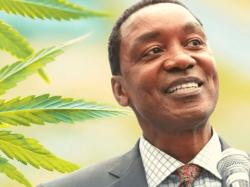  breaking-isiah-thomass-one-world-products--afro-colombian-group-will-dedicate-a-million-acres-to-industrial-hemp-production 