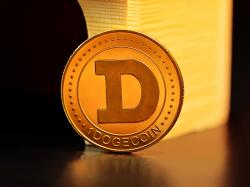  150m-dogecoin-transferred-in-a-single-transaction 