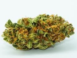  ayr-wellness-announces-374-million-upsized-capex-facility-from-xs-financial 