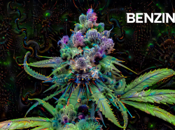  new-leaf-partners-with-stash-house-distribution-to-bring-new-cannabis-brands-to-washington-state 
