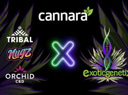  cannara-biotech-signs-an-exclusive-brand-partnership-with-exotic-genetix-in-canada 