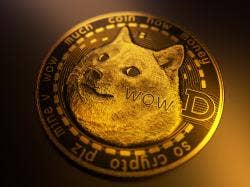 Unusual Dogecoin (DOGE) Transactions Leads To Ponzi Scheme Discovery