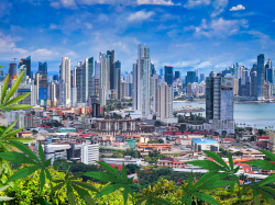  sun-water-weed-and-b2b-what-opportunities-can-cannabis-investors-expect-from-this-conference-in-panama 