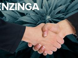  cannabis-etf-makes-bold-bet-on-legalization-reversing-stance-on-us-marijuana-assets 
