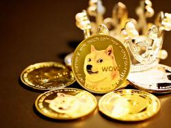  much-wow-dogecoin-could-be-a-good-boy-at-supermarkets-with-coinstar-atm-deal 