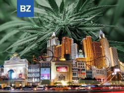  illicit-cannabis-market-takes-a-punch-at-another-licensed-producer-flower-one-q2-revenue-drops-56-yoy 