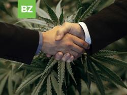 the-green-organic-dutchman-signs-a-definitive-agreement-to-merge-with-bzam-cannabis 