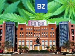  florida-regulators-request-more-money-to-keep-up-with-mmj-demand-as-gov-desantis-pushes-to-increase-fees 
