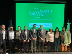  argentinas-cannabis-conicet-public-company-seeks-to-strengthen-the-industry-in-south-america 