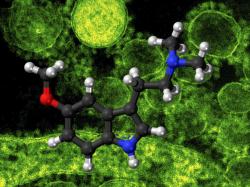  tackling-depression-with-psychedelics-new-phase-2-clinical-study-begins-at-yale-university 