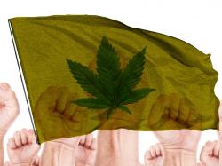  cannabis-workers-unionize-in-new-jersey-and-northern-california 