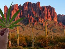  yourway-cannabis-brands-focusing-on-arizona-recreational-market-to-release-earnings-by-the-end-of-2022 