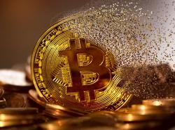  why-bitcoin-gold-is-getting-obliterated-down-9-tuesday 