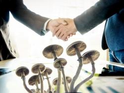  psychedelics-company-filament-signs-licensing-deal-with-psyence-in-us-uk-and-eu 