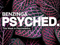  these-are-the-11-biggest-psychedelics-news-and-trends-you-may-have-missed-last-year 