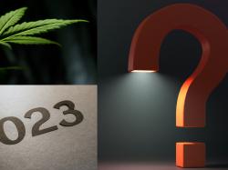  what-will-happen-with-cannabis-in-2023-industry-experts-debate-exclusively-on-benzinga 